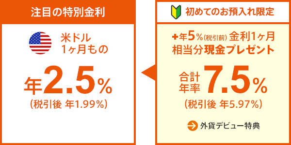 →外貨デビュー特典
