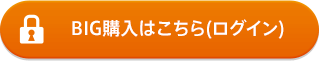 BIG購入はこちら(ログイン)