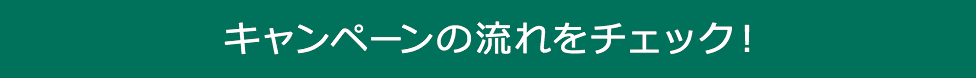 キャンペーンの流れをチェック!