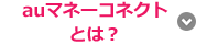 auマネーコネクトとは?