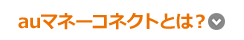 auマネーコネクトとは?