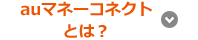 auマネーコネクトとは?