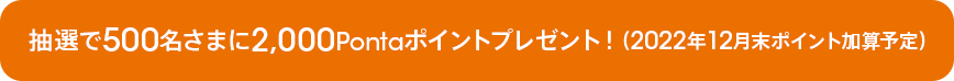 抽選で500名さまに2,000Pontaポイントプレゼント!
(2022年12月末ポイント加算予定)