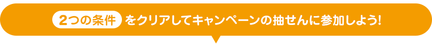 2つの条件をクリアしてキャンペーンの抽せんに参加しよう!
