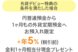 外貨デビュー特典の条件を満たした場合