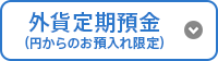 外貨定期預金（円からのお預入れ限定）