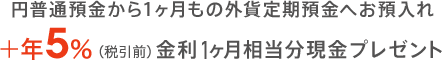 円普通預金から1ヶ月もの外貨定期預金へお預入れ