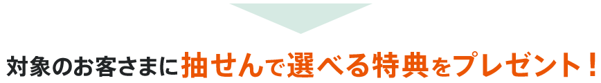 対象のお客さまに抽せんで選べる特典をプレゼント!
