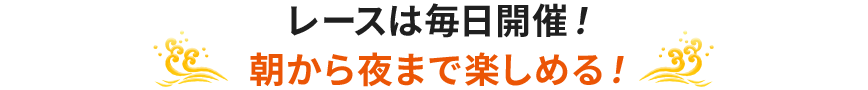 レースは毎日開催!朝から夜まで楽しめる!