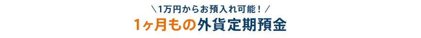 \1万円からお預入れ可能!/ 1ヶ月もの外貨定期預金
