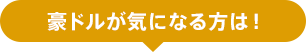 豪ドルが気になる方は!
