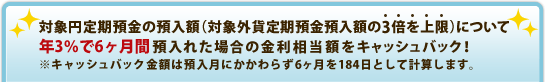 対象円定期預金の預入額（対象外貨定期預金預入額の3倍を上限）について年3％で6ヶ月間預入れた場合の金利相当額をキャッシュバック！※キャッシュバック金額は預入月にかかわらず6ヶ月を184日として計算します。