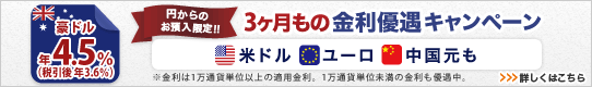 ＜円→外貨定期限定！＞3ヶ月もの外貨定期預金 金利アップキャンペーン 詳しくはこちら
