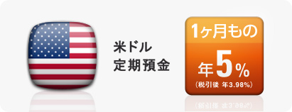 1ヶ月もの米ドル定期預金年5%!(税引後 年3.98%)