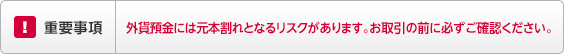 重要事項 外貨預金には元本割れとなるリスクがあります。お取引の前に必ずご確認ください。
