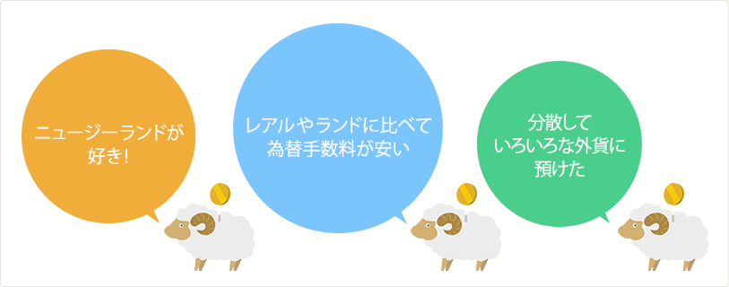 ニュージーランドが好き! レアルやランドに比べて為替手数料が安い 分散していろいろな外貨に預けた