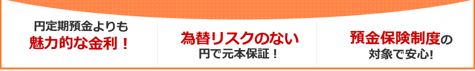 円定期預金よりも魅力的な金利! 為替リスクのない円で元本保証! 預金保険制度の対象で安心! 円定期預金よりも魅力的な金利! 為替リスクのない円で元本保証! 預金保険制度の対象で安心!