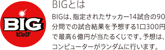 BIGとは
