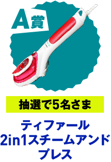 A賞 抽選で5名さま ティファール 2in1スチームアンドプレス