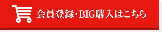 会員登録・BIG購入はこちら