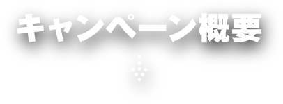 キャンペーン概要