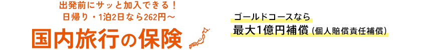 出発前にサッと加入できる!日帰り・1泊2日なら262円~ 国内旅行の保険